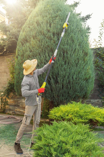 Best Lawn Watering Services  in , ME